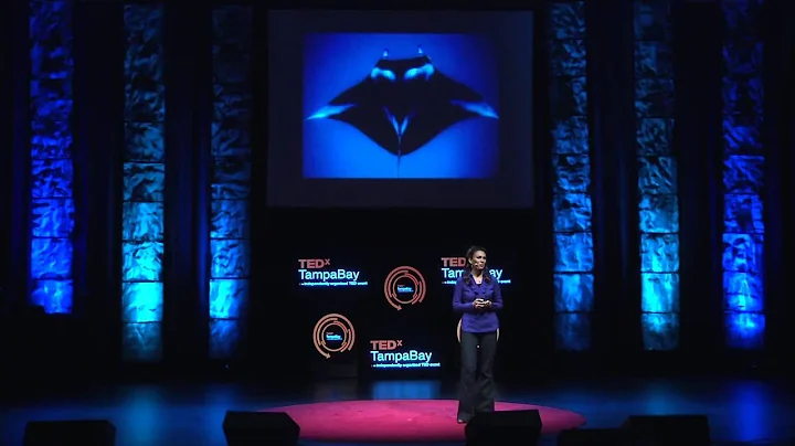 Researching manta ray brains: Csilla Ari at TEDxTampaBay