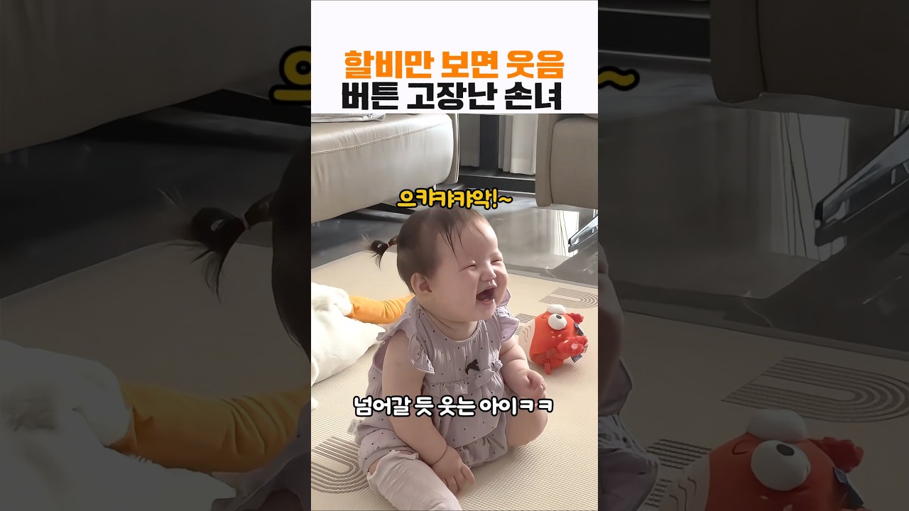할비만 보면 웃음버튼 고장나버리는 손녀 #아기 #웃긴영상