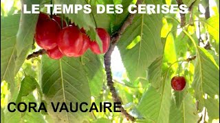 Cora Vaucaire: Le Temps des cerises/ Au golf de Saint-Cloud (Fr/En Lyrics)