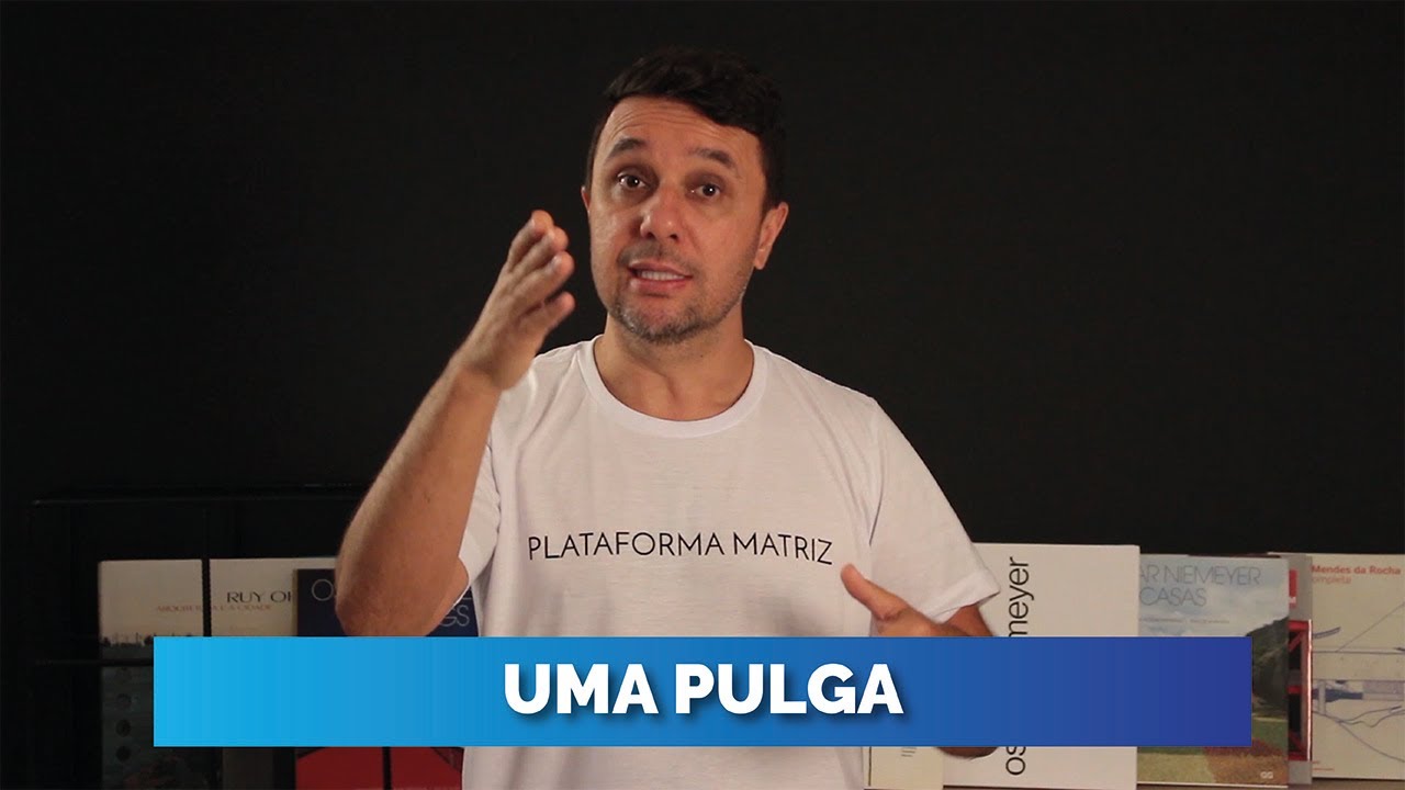 UMA PULGA YouTube