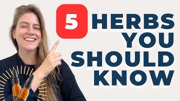 5 Tinctures that EVERYONE should have in their herbal medicine cabinet!