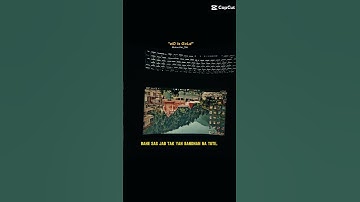 coding shorts #shortsfeed #shortvideo #shorts #coding #viral