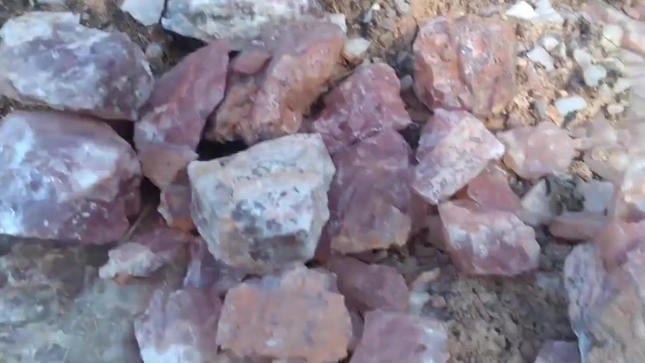 TRABALHO BRUTO NA ANATUREZA 19 9 9663 9866