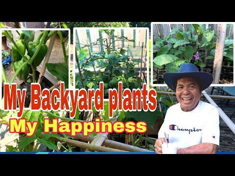 Backyard Gardening #canada