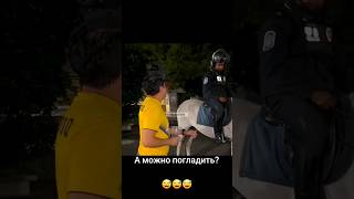 А можно погладить пранк прикол юмор #крутыевидео #shortsvideo #смехота #смех #пранк