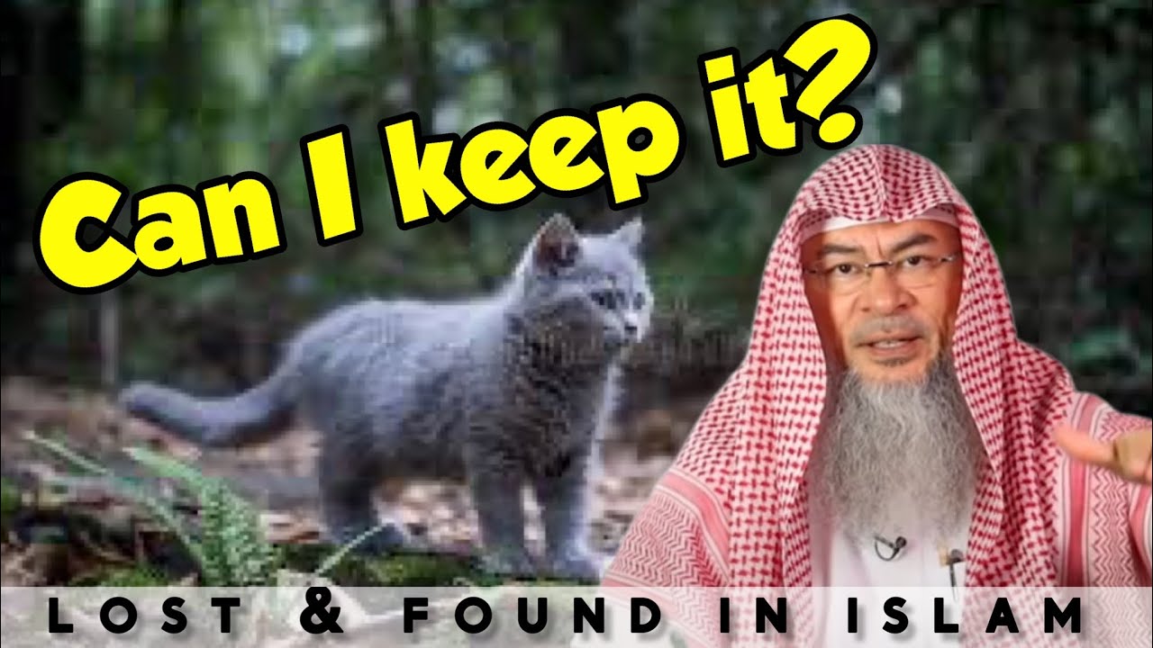 lost-found-rulings-in-islam-if-i-found-a-lost-cat-can-i-keep-it