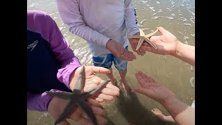 Hunting Island SC Surf Fishing