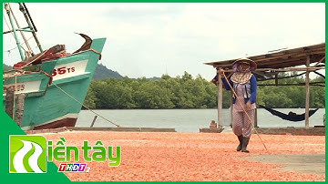 Làm tôm khô xứ biển miền Tây ra sao? | Miền Tây THDT2