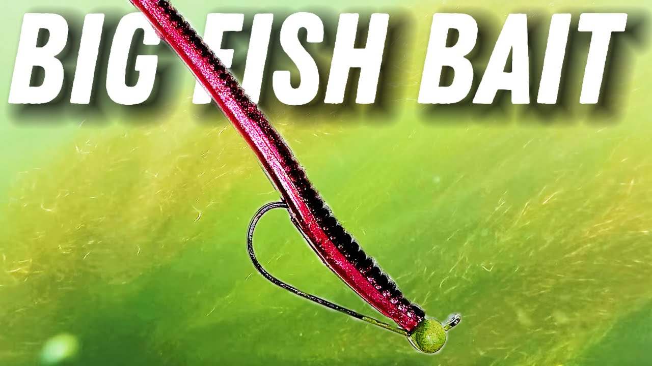 BIG BASS Can't Resist THIS Bait — Fishing Downtown ATX