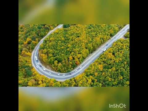 رقية القرين للشيخ عبدالناصر رضوان