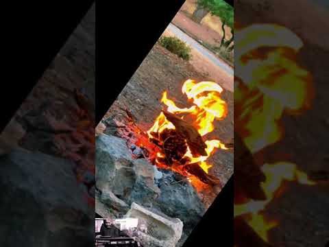 هاي الدنيا وين امشي بيها