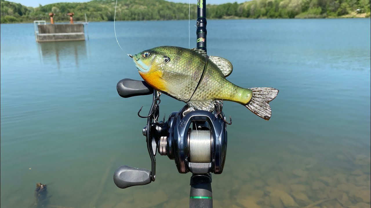 My BIGGEST Bass of the Year on a GIANT Glide Bait!!