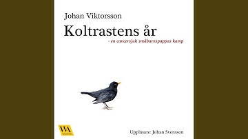 Chapter 33.3 & Chapter 34 & Chapter 35.1 - Koltrastens år