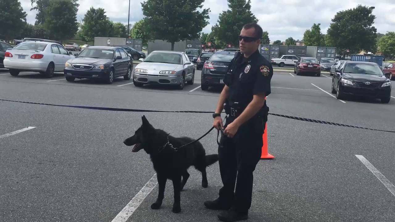K9 Presentation From The Concord Police Department YouTube