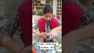 fish cutting video 🐟😍 #shorts #fishcutting #youtubeshorts #viralvideo