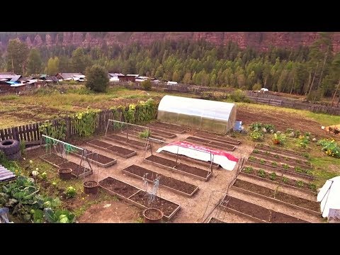 Огородные дела. Закрыли сезон. Осень 2019