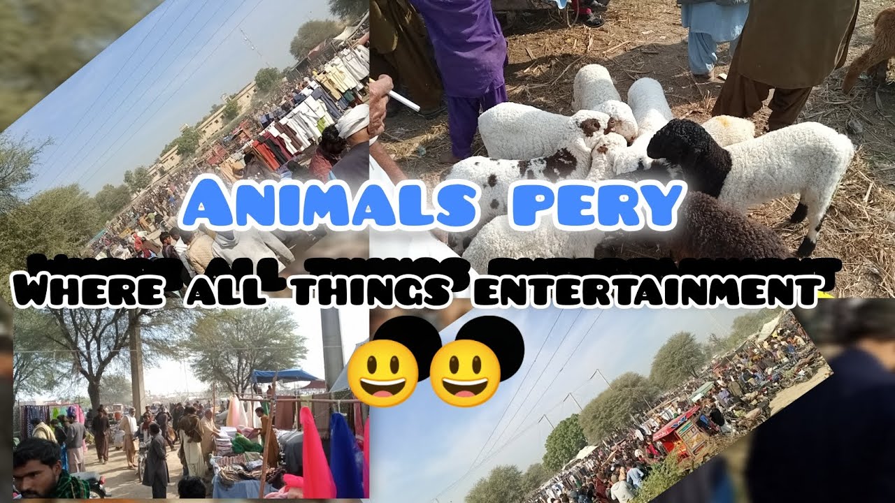 Animals pery where all things entertainment 😃🌺🌹😃😃