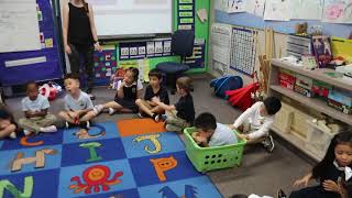 Preschool & K STEM - Push and Pull Forces