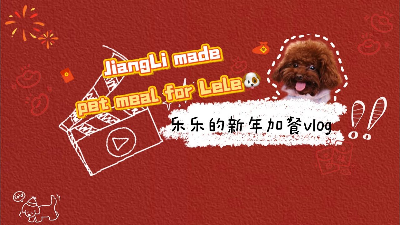 DESIRE4 VLOG｜JiangLi made Pet Meal for their pet 🐶給小樂樂開新年小灶啦！