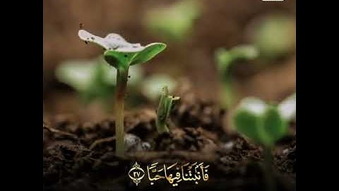 فَلْيَنظُرِ الْإِنسَانُ إِلَىٰ طَعَامِهِ | القارئ الرائع رعد الكردي