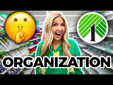 Organize your ENTIRE house with Dollar Tree items!