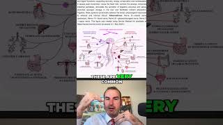 Dysautonomia: It's NOT Just Heart Rate! Nervous System Explained