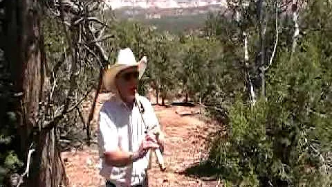 Native American Flute, Birdseye Fsharp Solo By Ric...