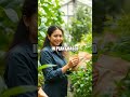 The Trailblazer Behind a Sustainable Food Packaging Company