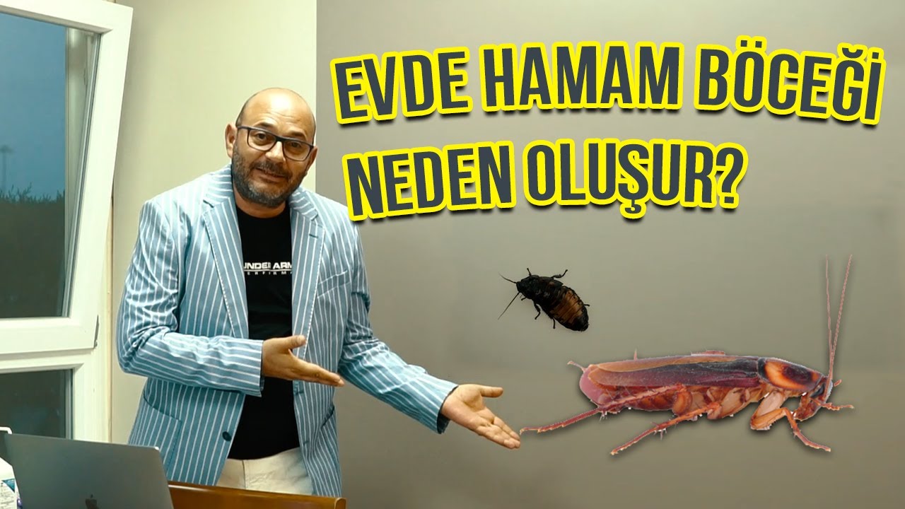 Evde Hamam Böceği Neden Olur