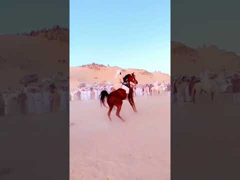 كل يامي خلقه الله مجمل حال جشم مذكر يام