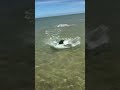 This dude was so giddy filming a hammerhead chasing a stingray.