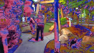 Sports Performance Porky Putts Course - Old Mac's Mini Golf