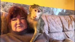 Lyuska brought me SUCH BEAUTY that I can participate in the competition for the most beautiful ha...