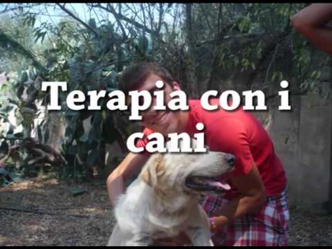 ASL Taranto - Pet Terapy