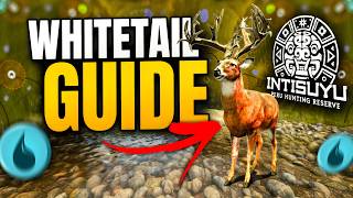 Is Intisuyu the BEST Map for Great One Whitetail? Grind Guide!