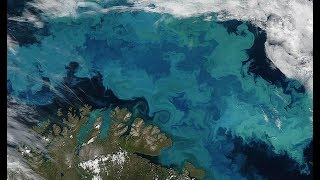 Climate Change Will Alter the Color of Half Our Oceans, Study Finds