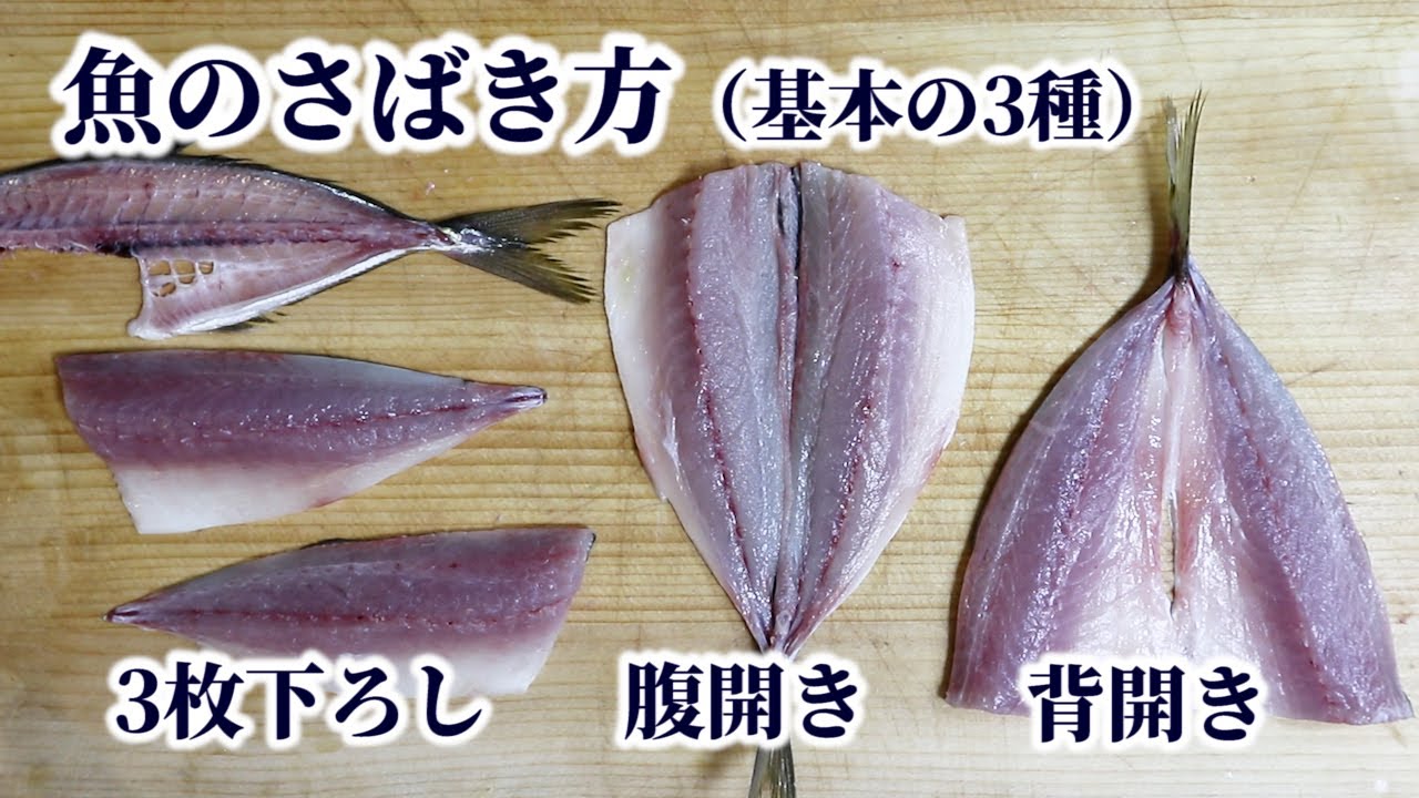 板前が教える 魚のさばき方 3枚おろし 腹開き 背開きのやり方を解説 初心者向け Youtube