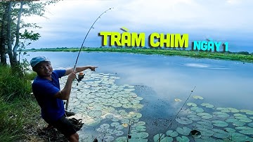 CÂU CÁ Ở RỪNG TRÀM CHIM 2023 , TẬP 1, KHÔNG CÓ CÁ KHÔNG VỀ