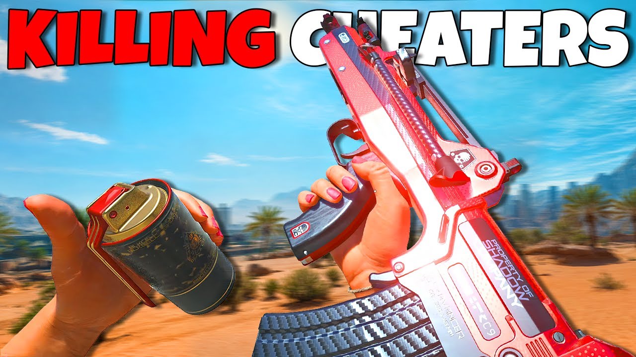 Убийство ЧИТЕРОВ в демилитаризованной зоне