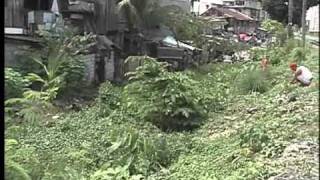 Transformation Of Estero De Paco