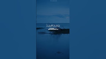 ولا تحسبن الله غافلا عما يعمل الظالمون القارئ أنس الشافعي