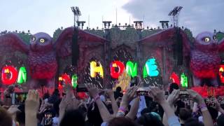 EDC japan 2017  marshmello alone