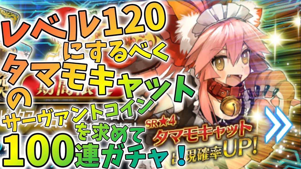 【FGO】タマモキャットのサーヴァントコインをガチャで獲得する！