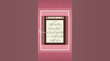 #اسلامي #القارء #تيك_توك #تلاوه #القاريء #duet #القران