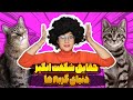گربه ها اسراری دارند که هر کسی باید بداند 