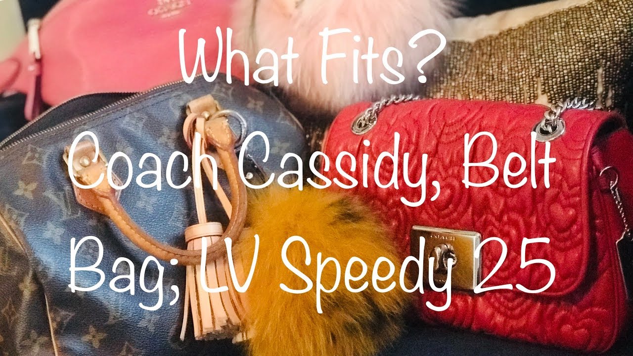 What Fits/What's In My Bag - Coach Cassidy, Coach Belt Bag, LV Speedy 25