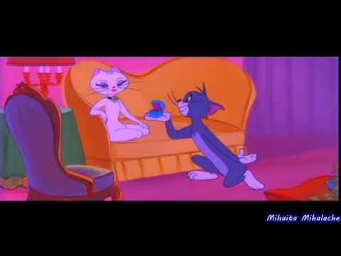 Tom ft. Nicolae Guta - Toate pozele cu tine