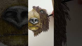 More PROGRESS on the BEAR PORTRAIT 🐻