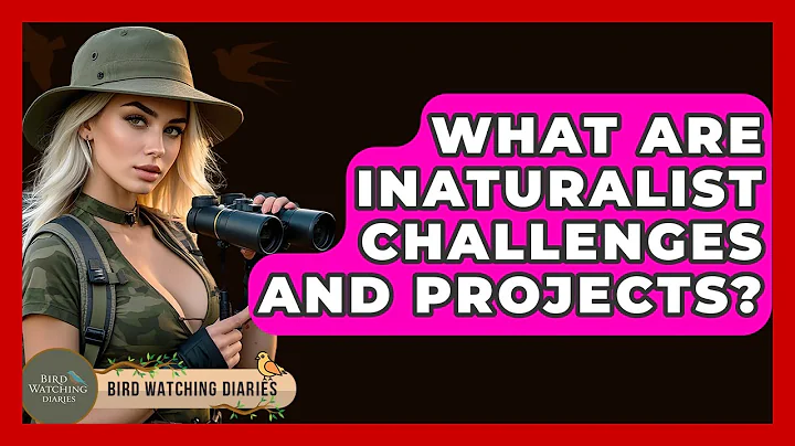 What Are INaturalist Challenges And Projects? - Bird Watching Diaries