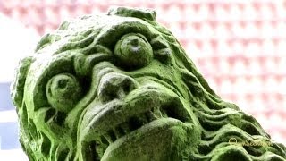 Hinte Burg Hinta Aurich Ostfriesland Germany Häuptlingsburg East Frisia Ancient Water Castle